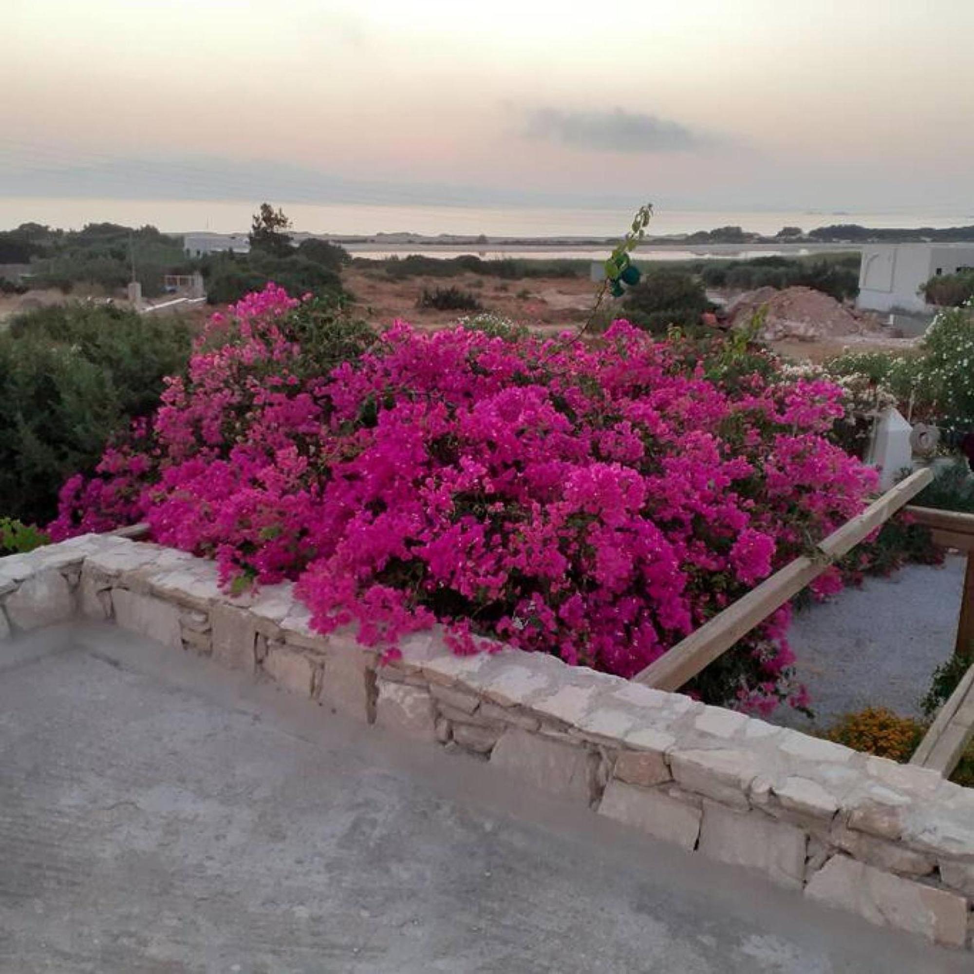 Naxos Alyko Traditional Vacation House "Mitatos" Aliko Beach Екстериор снимка